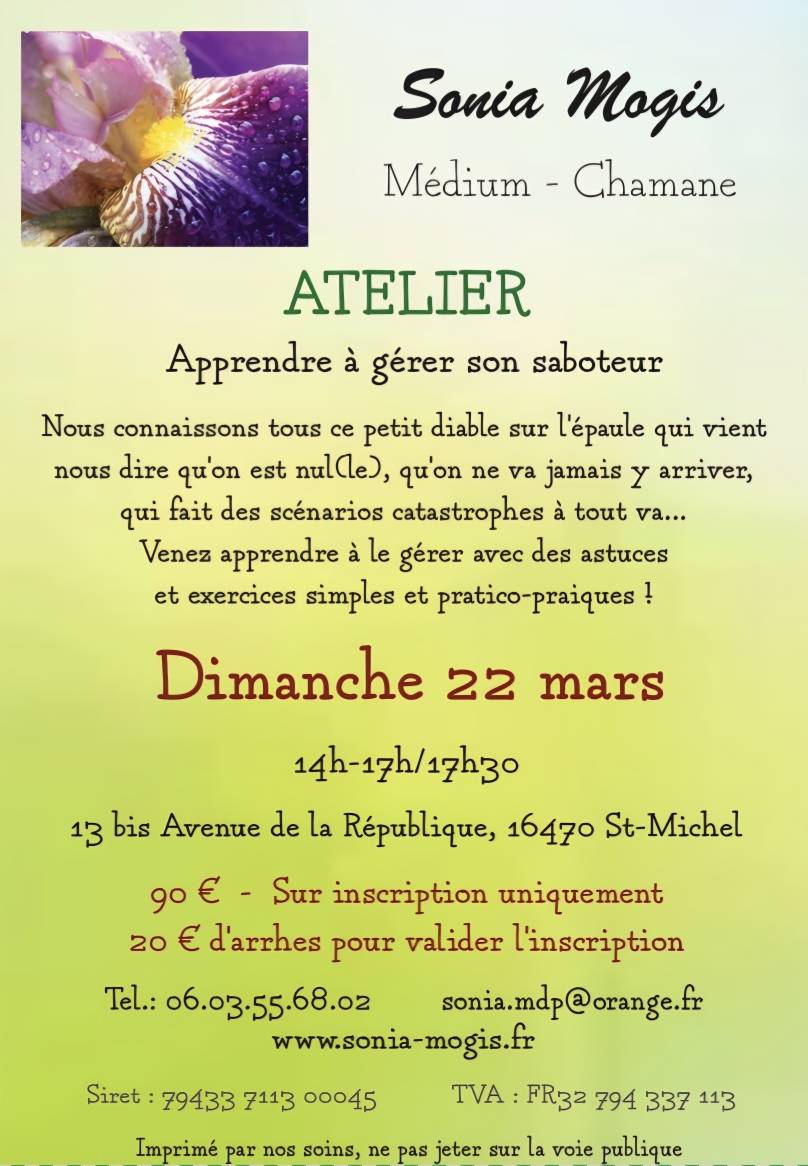 Screenshot_20260224_204412_Samsung Internet